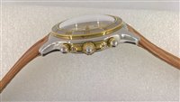 Armbanduhr Philip Watch Herr Hippos in Stahl 8251934017 - 8251934017